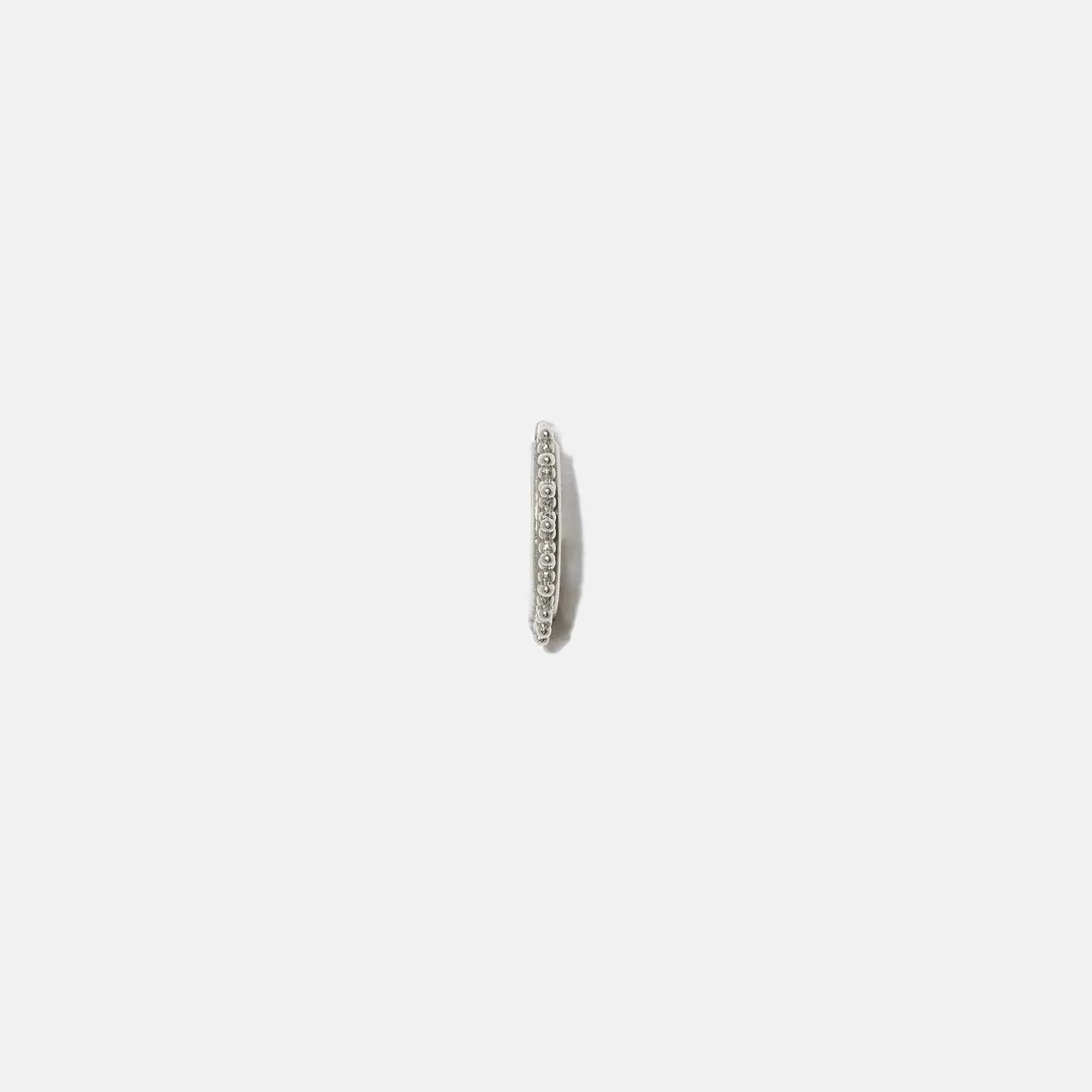 Ear Piercing i stål - hoop med halo