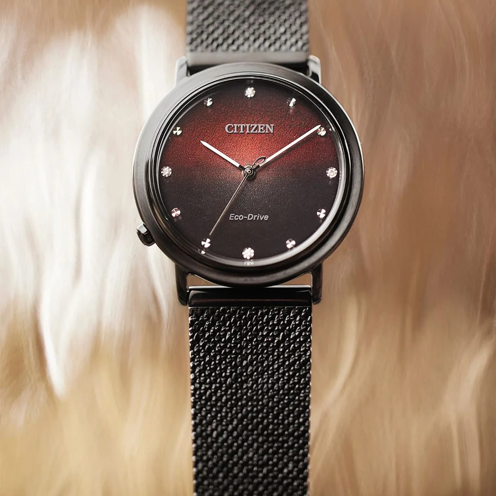 Citizen Anniversary Special Edition extra armband EM1007-47E 8