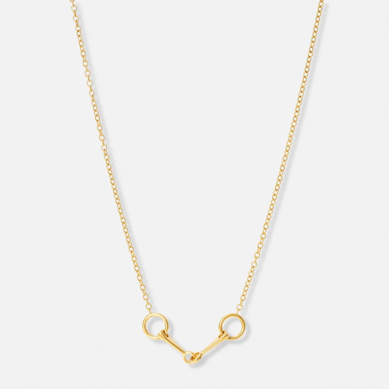 Guldpläterat stålhalsband med tränsbett - 40+5 cm