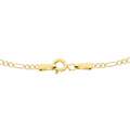 Halsband 9K Guld - Figarokedja 51 cm