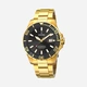 Festina F20533/2 Automatic Diver - herrklocka, svart/guldton, 44mm