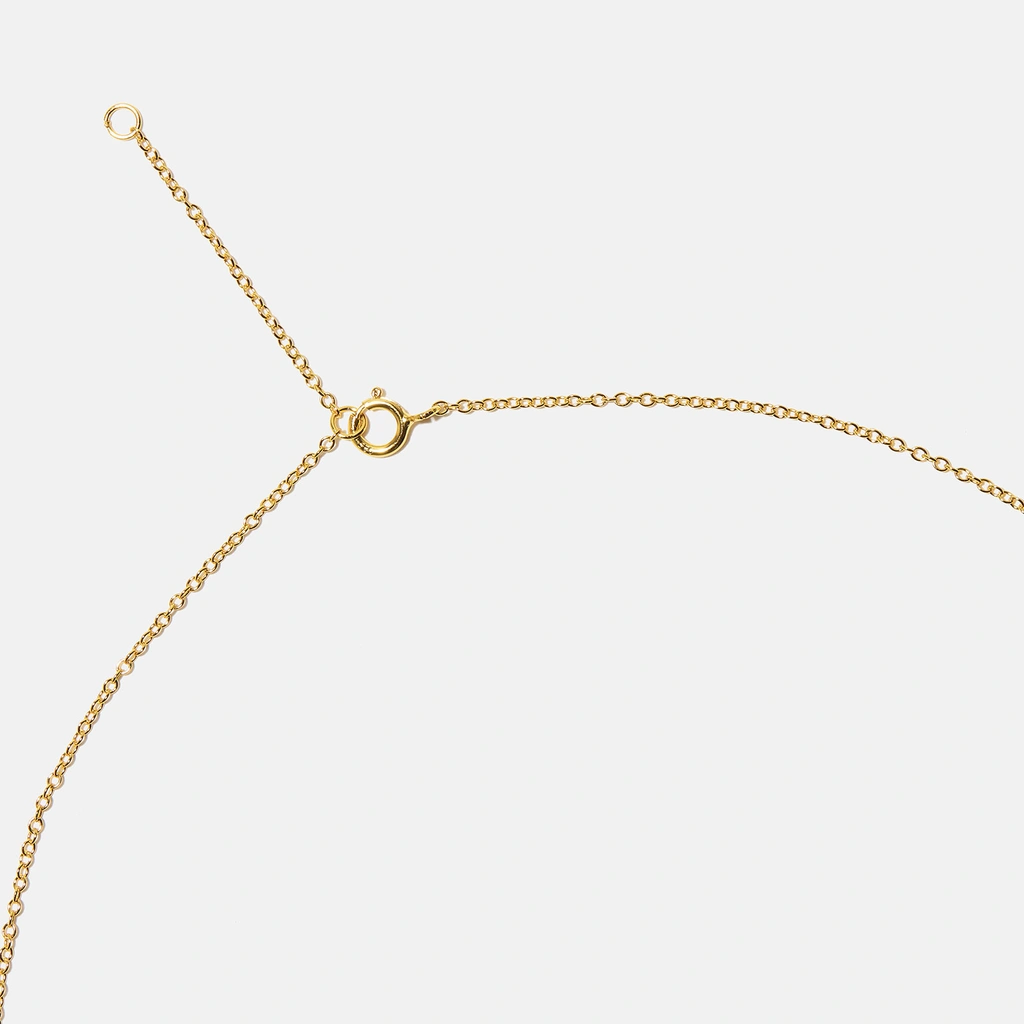 Guldpläterat halsband bokstav C - 42+3 cm