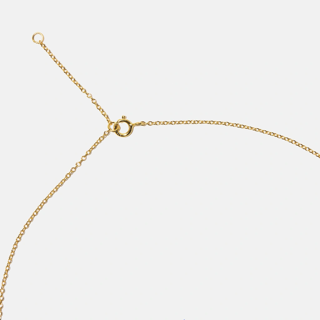 Guldpläterat halsband bokstav N - 42+3 cm