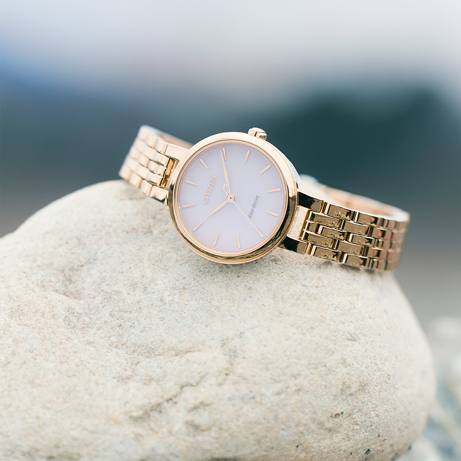 Citizen Eco-Drive damklocka - EM0993-82X