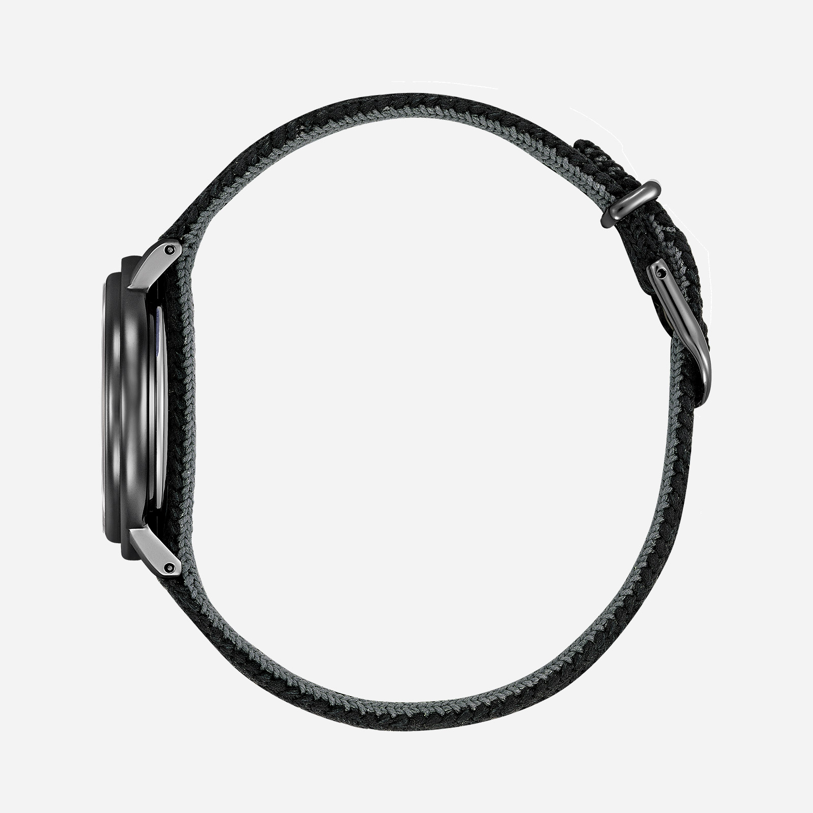 Citizen Anniversary Special Edition extra armband EM1007-47E