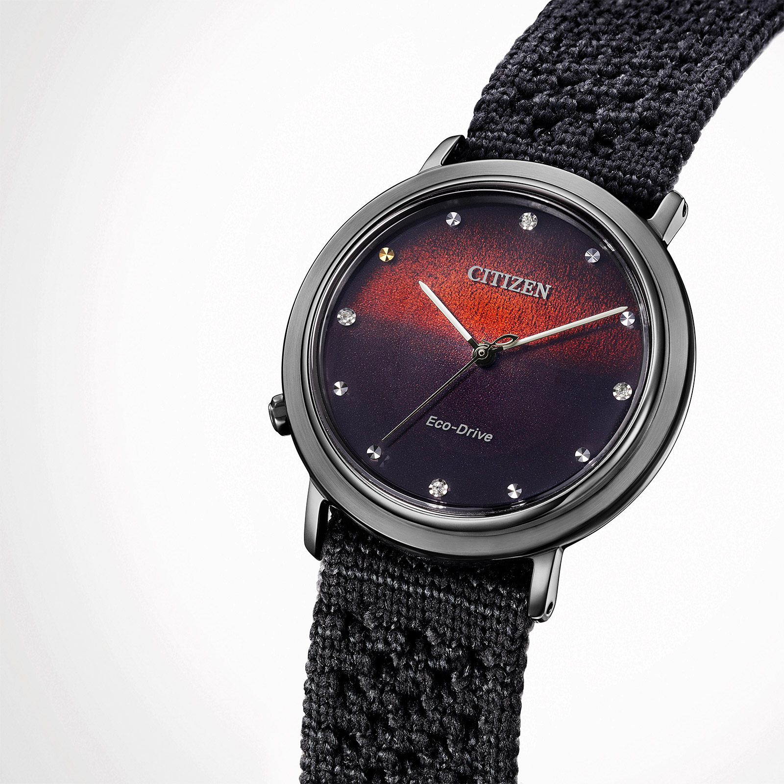 Citizen Anniversary Special Edition extra armband EM1007-47E