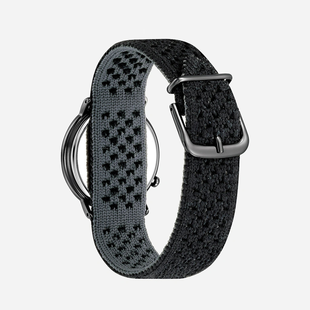 Citizen Anniversary Special Edition extra armband EM1007-47E