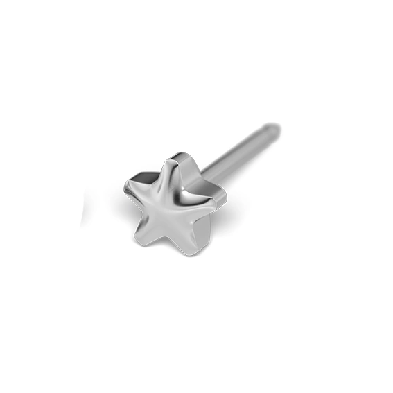 STUDEX - 1st örhänge kirurgiskt stål, stjärna 4mm