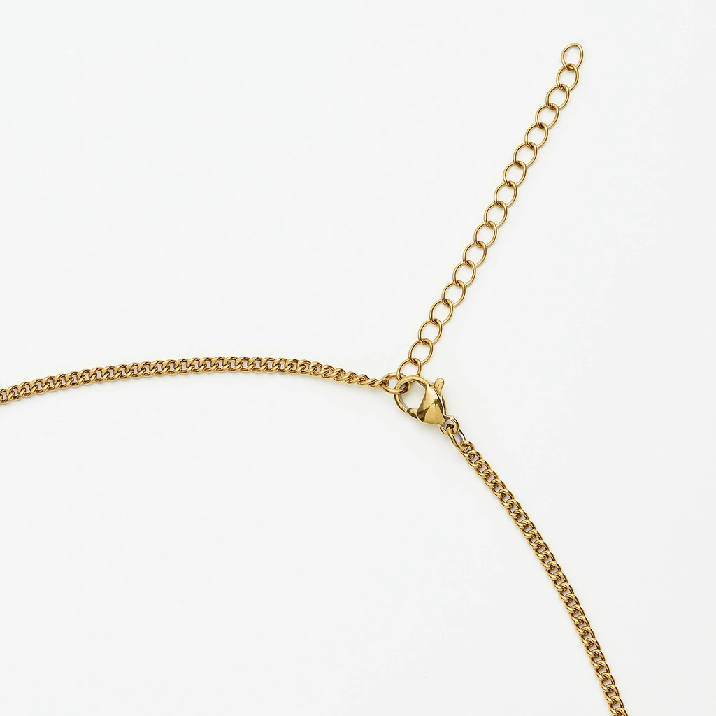 Guldpläterat stålhalsband herr 2mm pansar m bricka 55cm