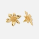 Guldfärgade örhängen, blomma - 30 mm
