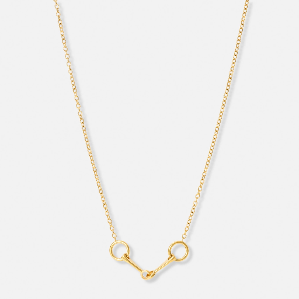 Guldpläterat stålhalsband med tränsbett - 40+5 cm