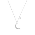 Silverhalsband, rektangel med vita stenar - 45–50 cm