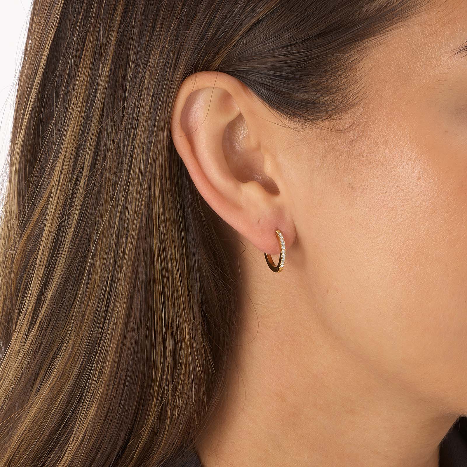 Guldpläterade stålörhängen, hoops med Kubisk Zirkonia