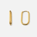 Guldpläterade stålörhängen, ovala hoops - 12x21mm