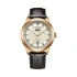 Citizen Eco-Drive Vit/Brun, Läderband - AW0153-04A