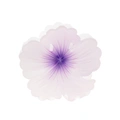 Vit och lila hårklämma, hibiskusblomma - 7,5x7,5 cm