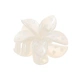 Offwhite hårklämma, blomma med blommönster - 8x8 cm
