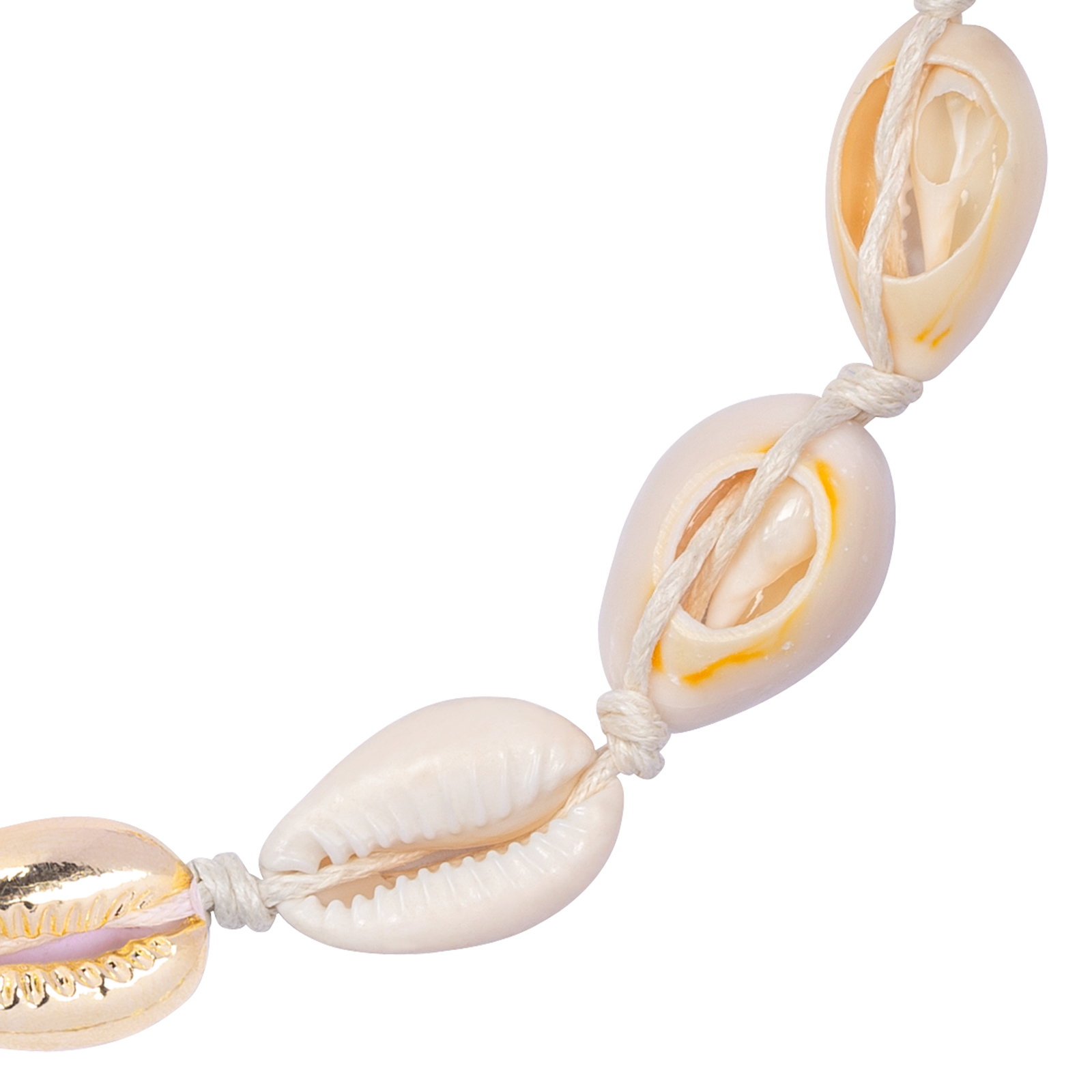 Halsband med Snäckor